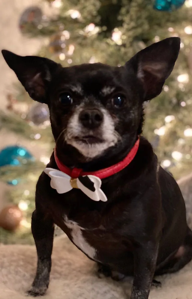 Julio